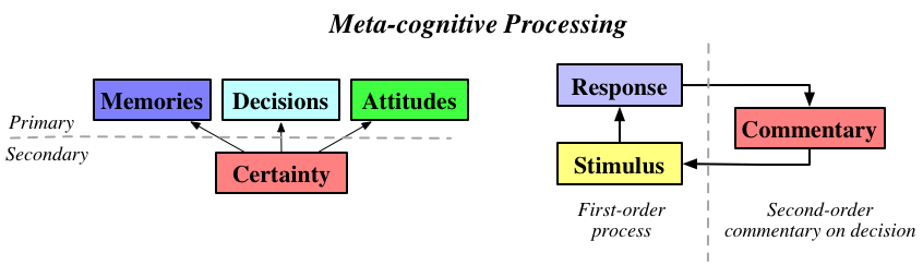 (Left) Distinction between primary and secondary thoughts. (Right) Basic model of metacognition.